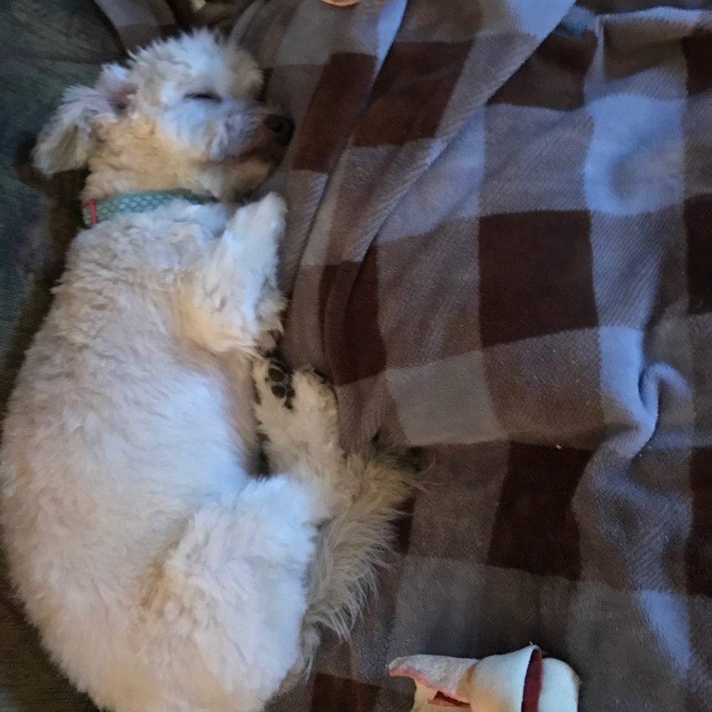 Meet your Posher, Jessica